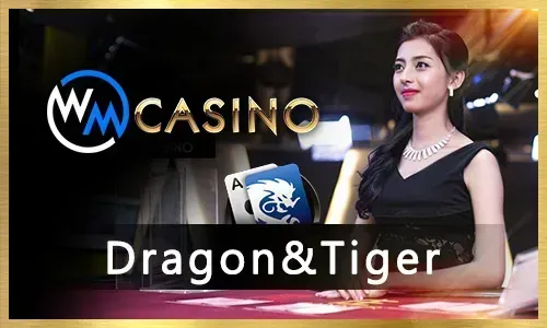 Mastering Super Ace Slots